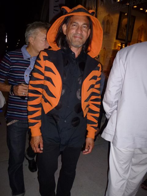 Mr. Tigre